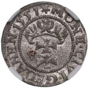 Zikmund II August, Shelburst 1551, Gdaňsk - RARE