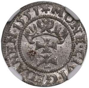 Sigismund II Augustus, Shelburst 1551, Danzig - RARE
