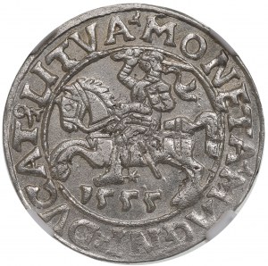 Zikmund II Augustus, půlpenny 1555, Vilnius - NGC MS62