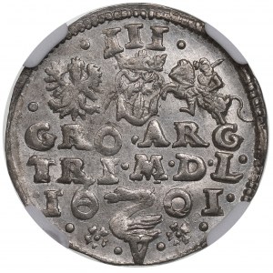 Sigismund III Vasa, Trojak 1601, Vilnius, Swan over V - NGC MS62 RARE.