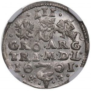 Sigismondo III Vasa, Trojak 1601, Vilnius, Cigno su V - NGC MS62 RARO