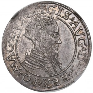 Zikmund II Augustus, čtyřúhelník 1566, Vilnius - NGC MS62