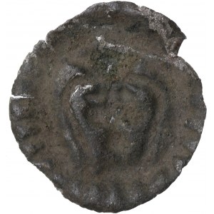 Neurčený okres, 13./14. století, brakteát, Pták na štítu - vzácný