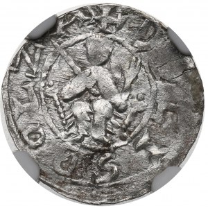 Boleslaus III, Denarius