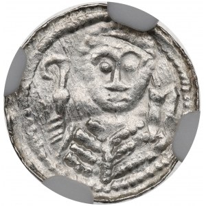 Vladislaus II, Denarius, Cracow