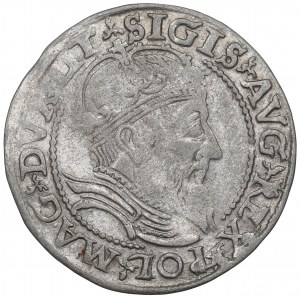 Sigismond II Auguste, centime 1559, Vilnius - B.ŁADNY