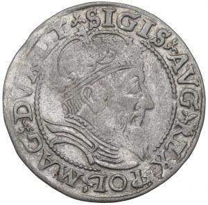 Zygmunt II August, Grosz 1559, Wilno - B.ŁADNY