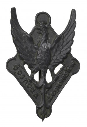 Polsko, odznak legionářského vojska