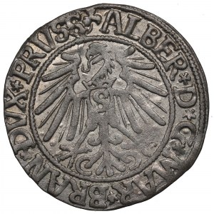 Knížecí Prusko, Albrecht Hohenzollern, Grosz 1543, Königsberg