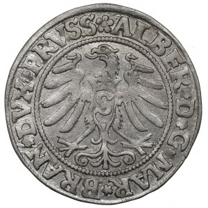 Prussia Ducale, Albrecht Hohenzollern, Grosz 1531, Königsberg