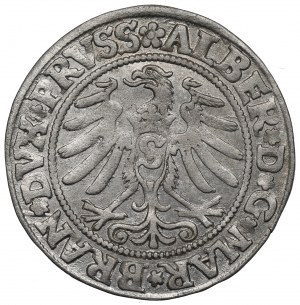 Prusy Książęce, Albrecht Hohenzollern, Grosz 1531, Królewiec