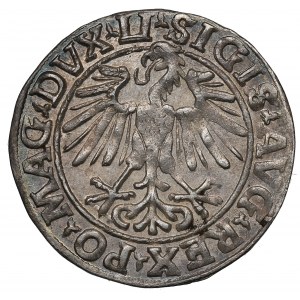 Sigismond II Auguste, demi-penny 1548, Vilnius - LI/LITVA