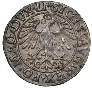 Sigismondo II Augusto, mezzo penny 1548, Vilnius - LI/LITVA