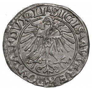 Sigismond II Auguste, demi-penny 1551, Vilnius - LI/LITVA