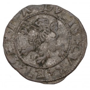 Kurské knížectví, Gotthard Kettler, Shelby 1576, Mitawa