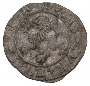 Księstwo Kurlandii, Gotthard Kettler, Szeląg 1576, Mitawa