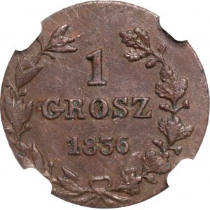 Zabór rosyjski, Mikołaj I, 1 Grosz 1836 - NGC MS62 BN