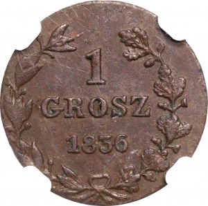 Zabór rosyjski, Mikołaj I, 1 Grosz 1836 - NGC MS62 BN