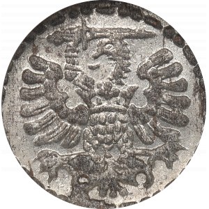 Sigismond III Vasa, Denier 1596, Gdansk - NGC MS62