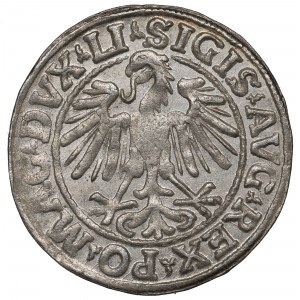 Sigismondo II Augusto, mezzo penny 1547 Vilnius - LI/LITVA