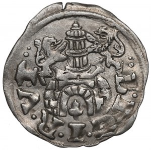 Germania, Brunswick-Wolfenbüttel, Penny 1619