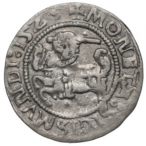 Sigismondo I il Vecchio, mezzo penny 1525, Vilnius
