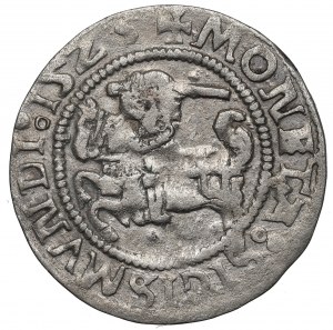 Zikmund I. Starý, půlpenny 1525, Vilnius