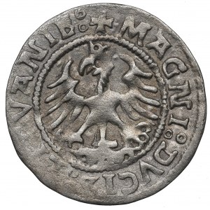 Sigismond Ier le Vieux, demi-penny 1525, Vilnius