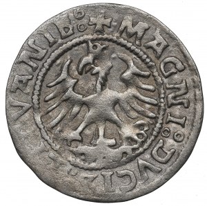 Sigismondo I il Vecchio, mezzo penny 1525, Vilnius