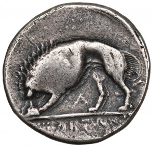 Grèce, Lucanie, Didrachma Velia