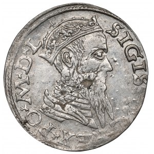 Sigismund II Augustus, Dwugrosz 1565, Vilnius - L/LITV