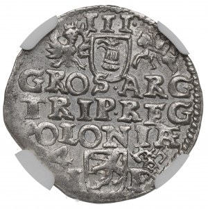 Sigismondo III Vasa, Trojak 1594, Poznań - NGC MS63