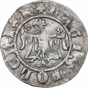 Casimiro III il Grande, mezzo penny senza data, Cracovia - rarità Scettro all'interno del bordo