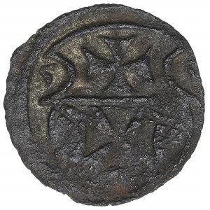 Sigismund II. Augustus, Denar 1555, Elbląg