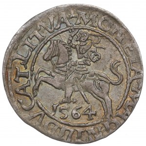 Sigismund II Augustus, Half-groat 1564, Vilnius, L/LITVA