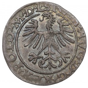 Sigismund II Augustus, Half-groat 1564, Vilnius, L/LITVA