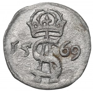 Sigismund II Augustus, 2 denarii 1569, Vilnius