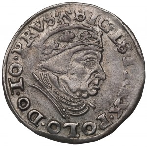 Sigismund I the Old, 3 groschen 1540, Danzig
