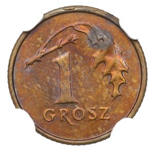 III RP, 1 grosz 2003 - destrukt NGC MS63