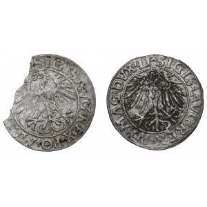 Sigismund II. Augustus, Halbpfennigsatz