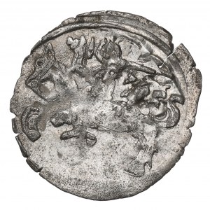 Sigismund II Augustus, Denarius 1556, Vilnius