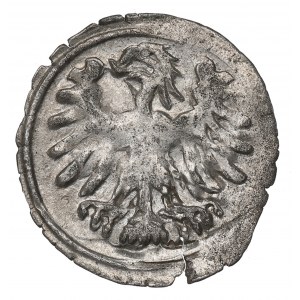 Sigismund II Augustus, Denarius 1556, Vilnius