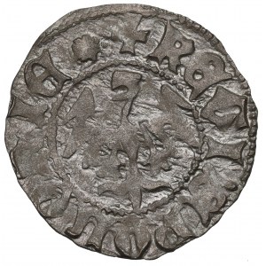 Vladislaus II, halfgroat - NGC MS62