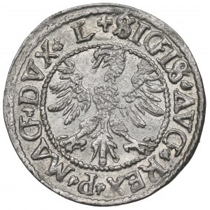 Sigismund II Augustus, Halfgroat 1546, Vilnius - L/LITV