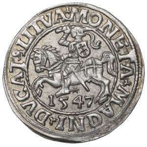 Sigismund II Augustus, Halfgroat 1547, Vilnius - LI/LITVA NGC MS64