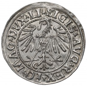 Sigismund II Augustus, Halfgroat 1547, Vilnius - LI/LITVA NGC MS64