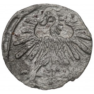 Sigismund II August, 1 denarius 1563, Vilnius