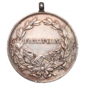 Austro-Węgry, Karol, Medal Fortitvdini