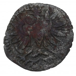 Sigismund III, Denarius 1593, Fraustadt - extremely rare