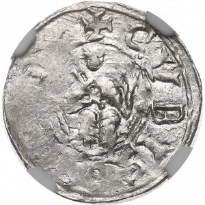 Boleslaus III, Denarius